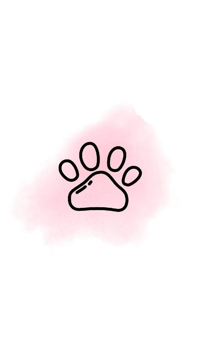 MASCOTAS